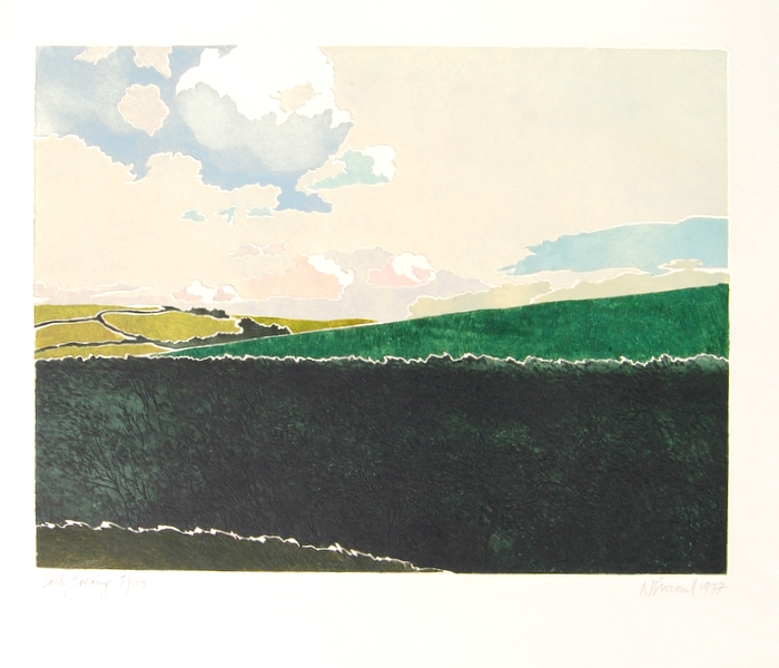 Print of Early Evening