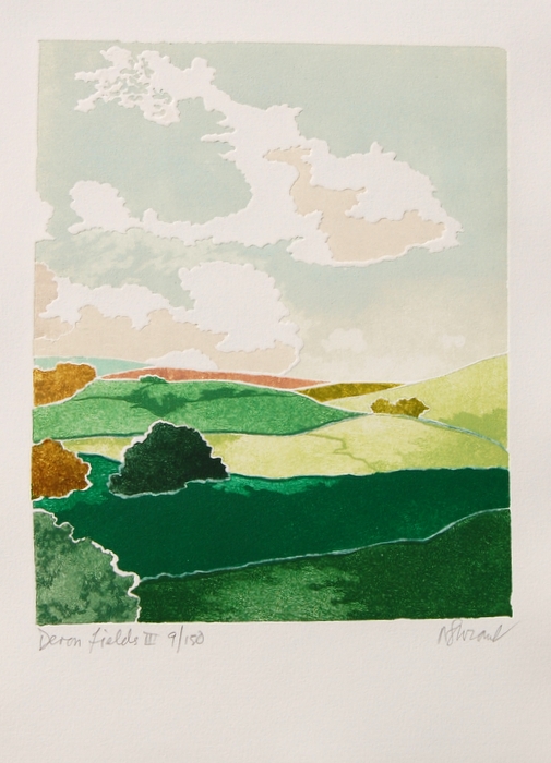 Print of Devon Fields III