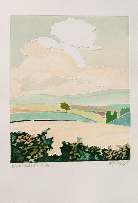 Print of Devon Fields IV